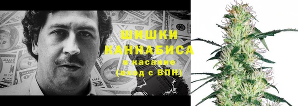 индика Пересвет