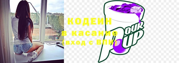 индика Пересвет