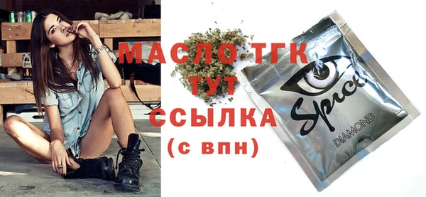 дживик Переславль-Залесский