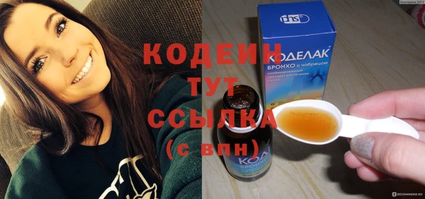 индика Пересвет