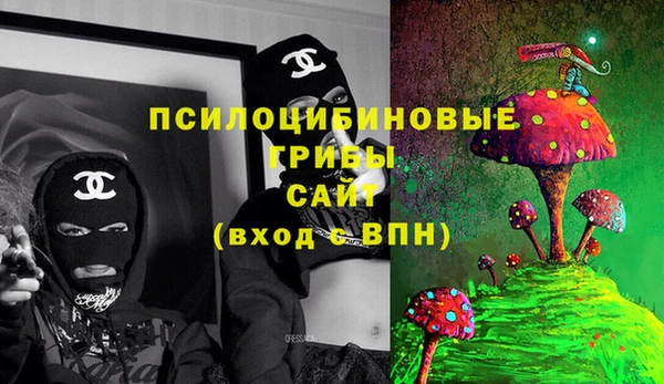индика Пересвет