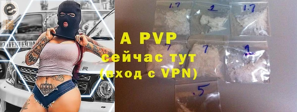 индика Пересвет