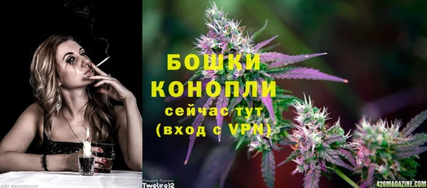 индика Пересвет