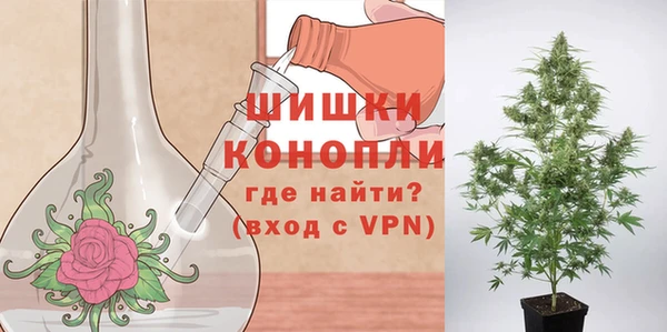 дживик Переславль-Залесский