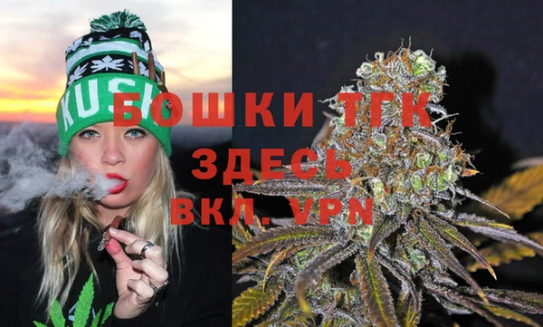 индика Пересвет