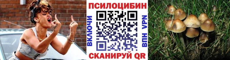 Галлюциногенные грибы GOLDEN TEACHER  мориарти формула  Фурманов  ссылка на мегу зеркало 